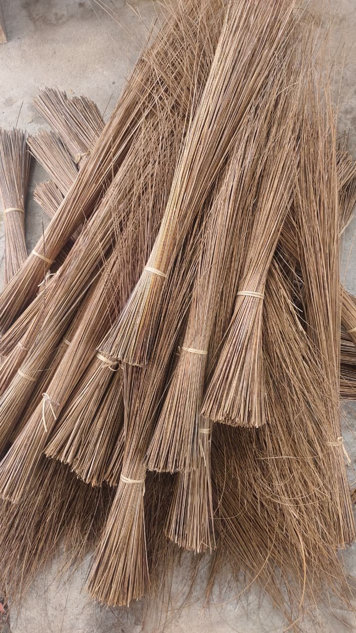 WhatsApp Image 2026-02-20 at 10.49.48 PM (1)